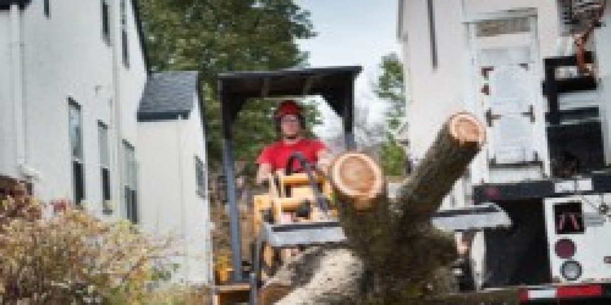 Yard Debris Removal Services | Wilsa Junk Remvoval