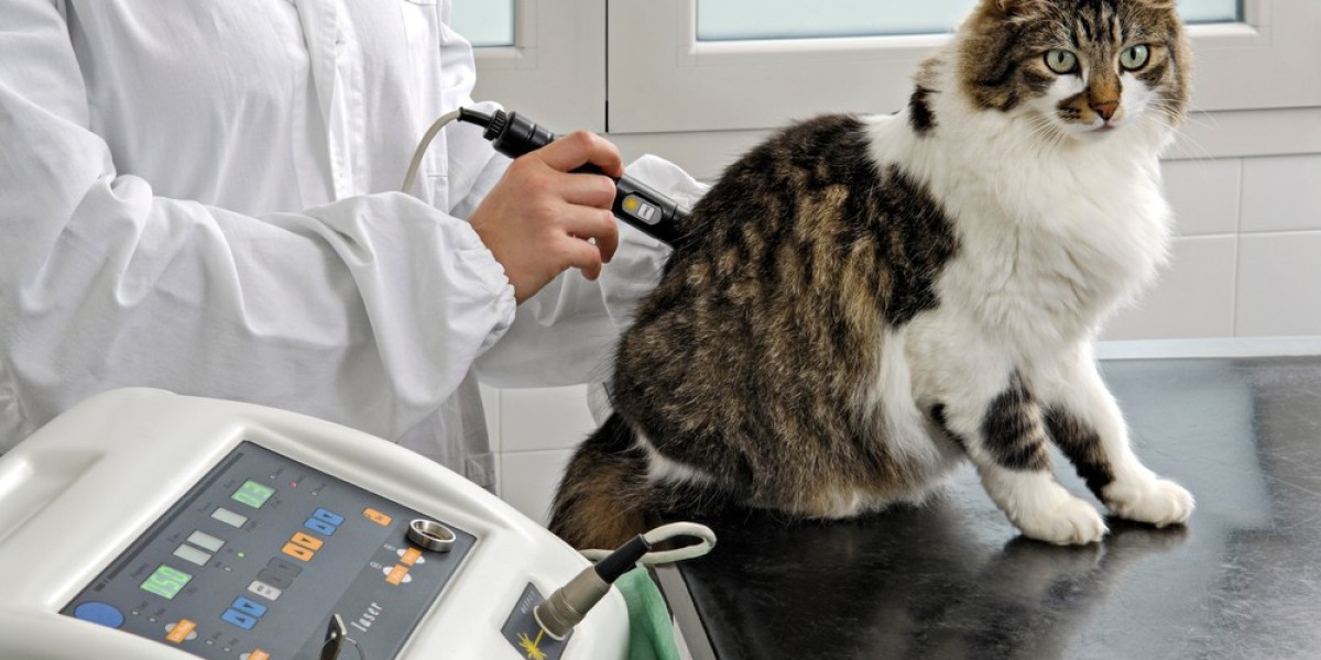 Benefits of Veterinary Orthopedic Manipulation​ for Dogs at Any Age