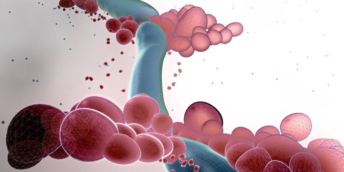 Comprehensive Care at Enfield STD Clinic in Dubai