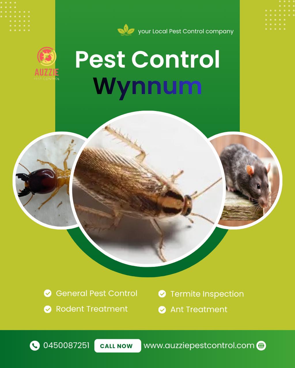 Pest Control Services in Wynnum