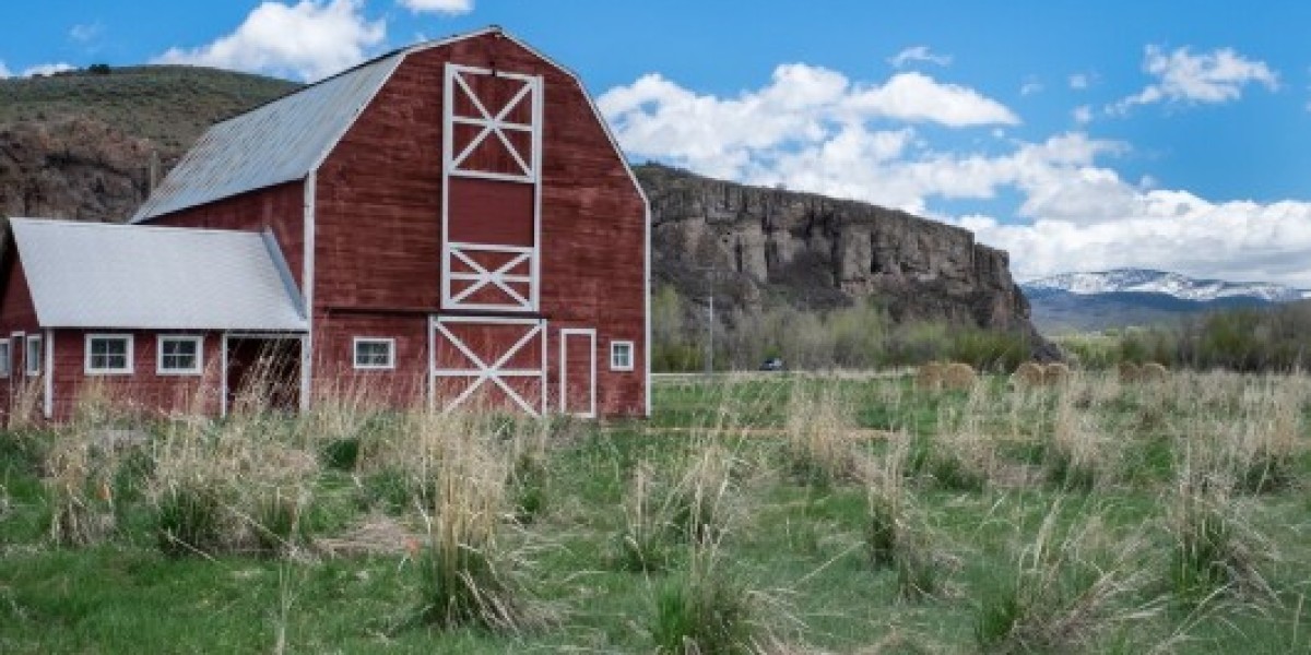 What Is a Metal Barn and Why Are More Property Owners Choosing It?